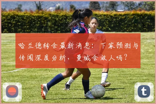 哈兰德转会最新消息：下家预测与传闻深度分析，曼城会放人吗？
